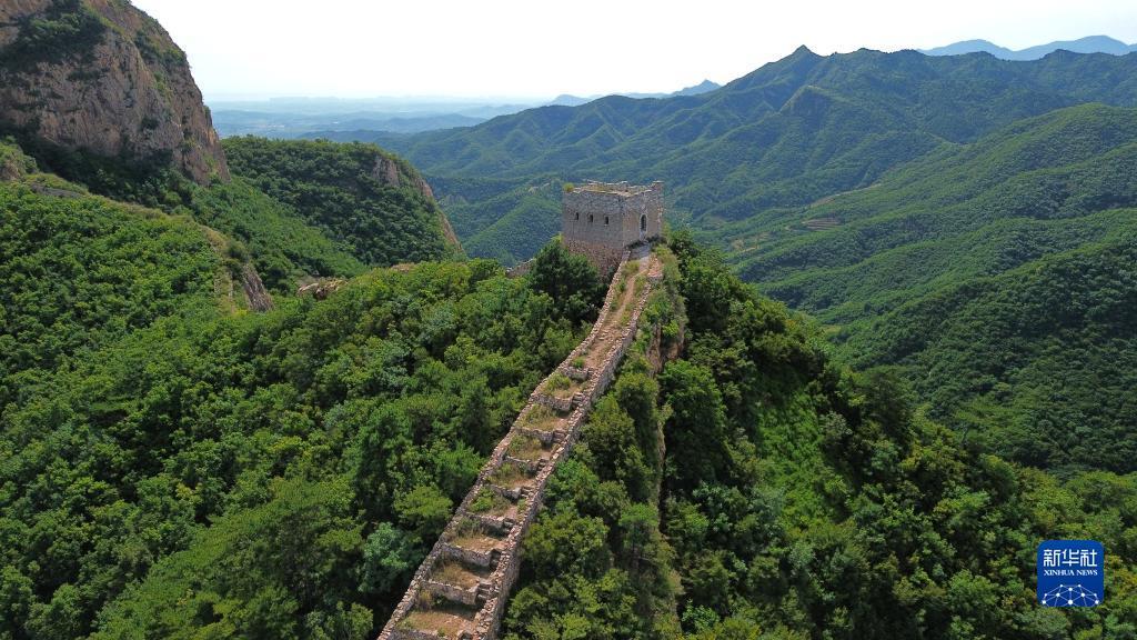捕鱼来了游戏电脑版